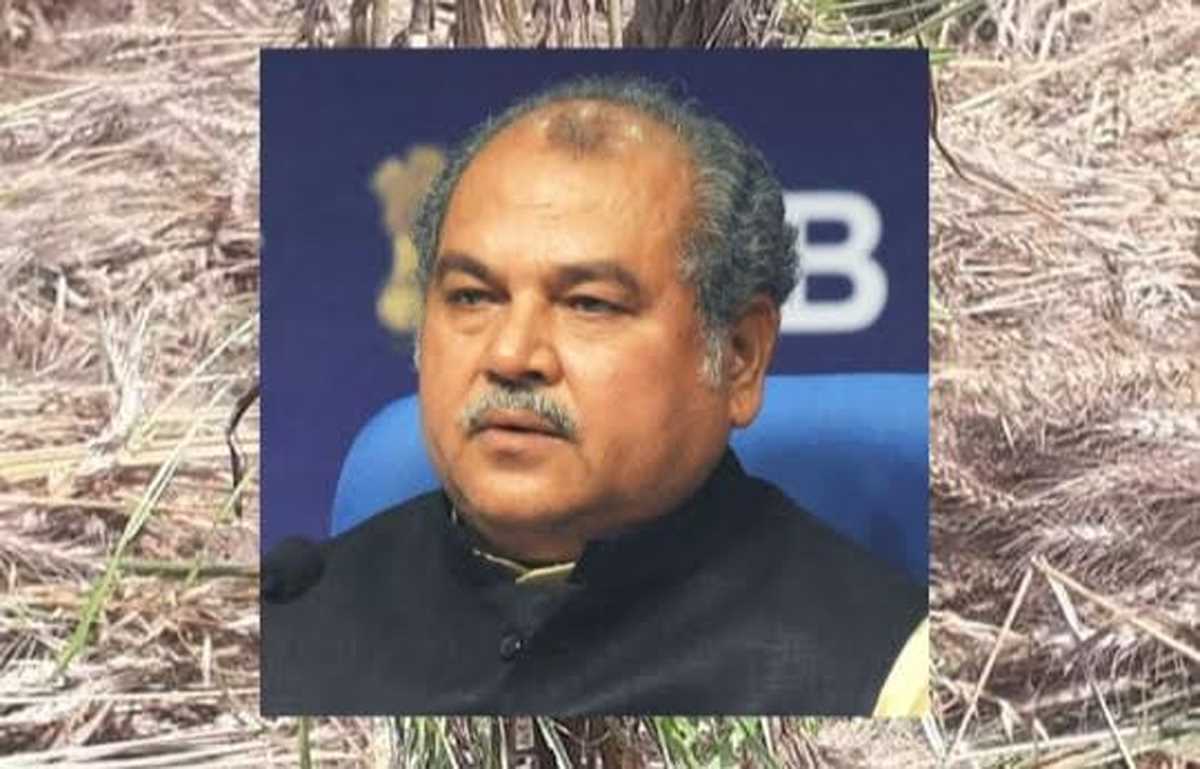 बेमौसम बारिश से नुकसान हुआ लेकिन देश मे खाद्यन्न की कमी नही आएगी: कृषि मंत्री